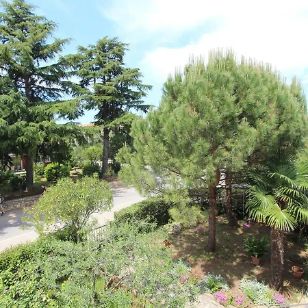 Apartment Godena *